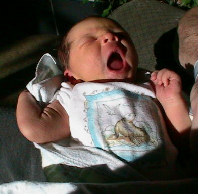 Noah yawns, just shy of 2 days old.